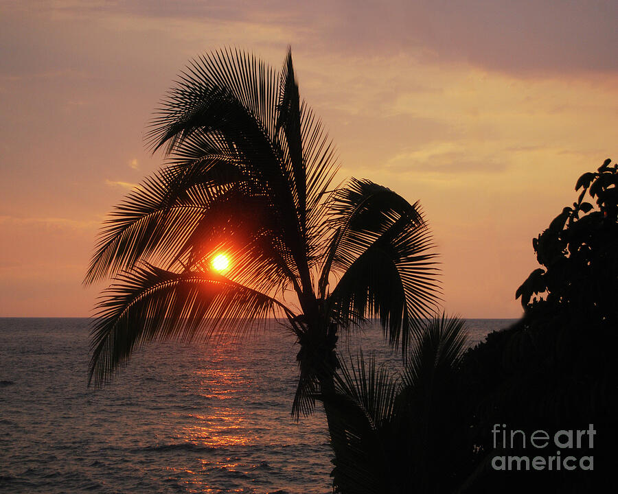 Tropical Sunset at Kailua-Kona, Hawaii Photograph by Catherine Sherman
