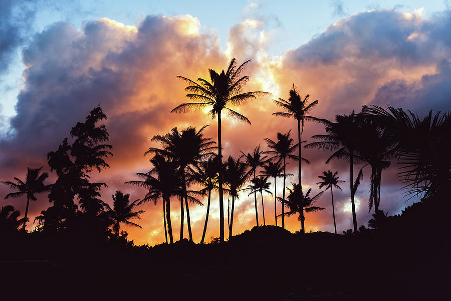 Tropical Sunset Photograph by Jason Roberts