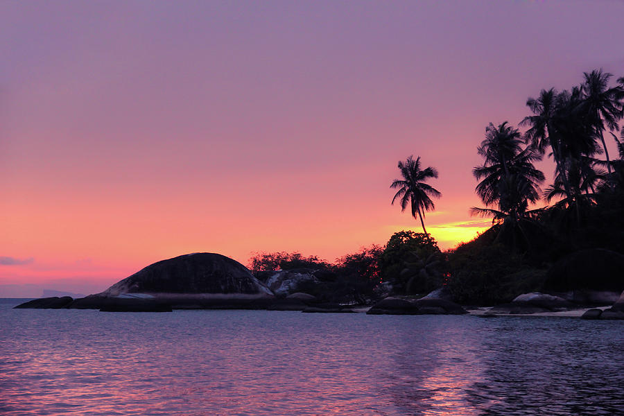 Tropical Sunset Photograph by Josu Ozkaritz