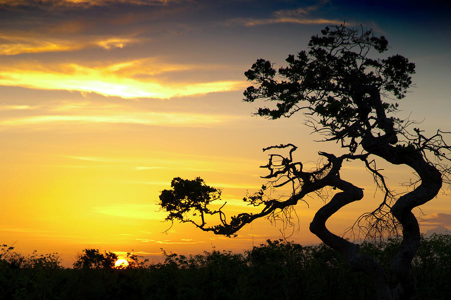Tropical Sunset Photograph by Paul Riedinger