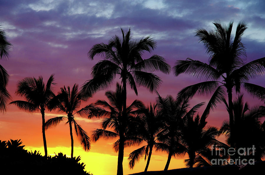 Tropical Sunset Serenade Photograph by Vicki Pelham