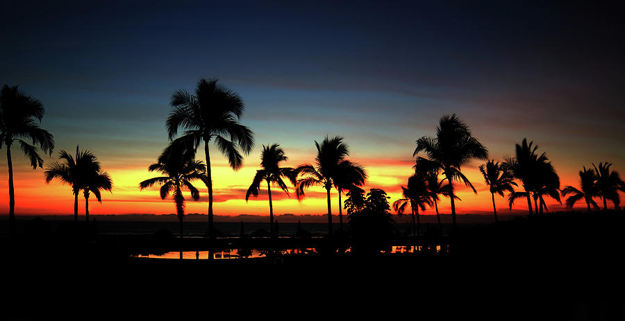 Tropical Sunset Photograph by Shane Bechler