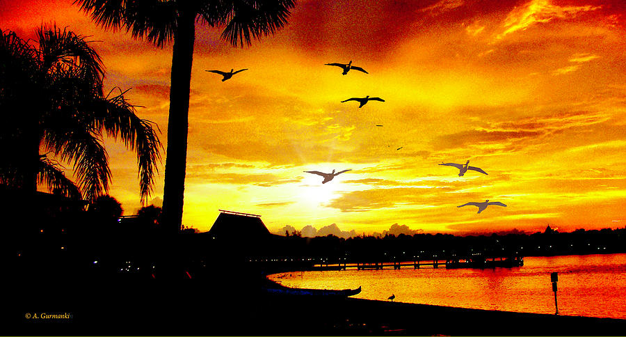 Tropical Sunset, Silhouettes Photograph by A Macarthur Gurmankin