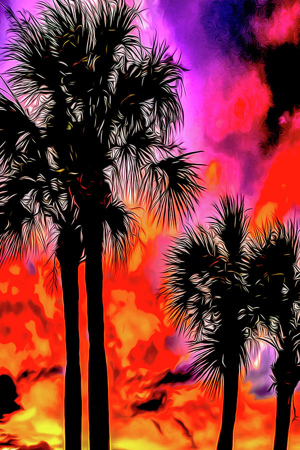 Tropical Sunset Tall Palms Photograph by Aaron Geraud