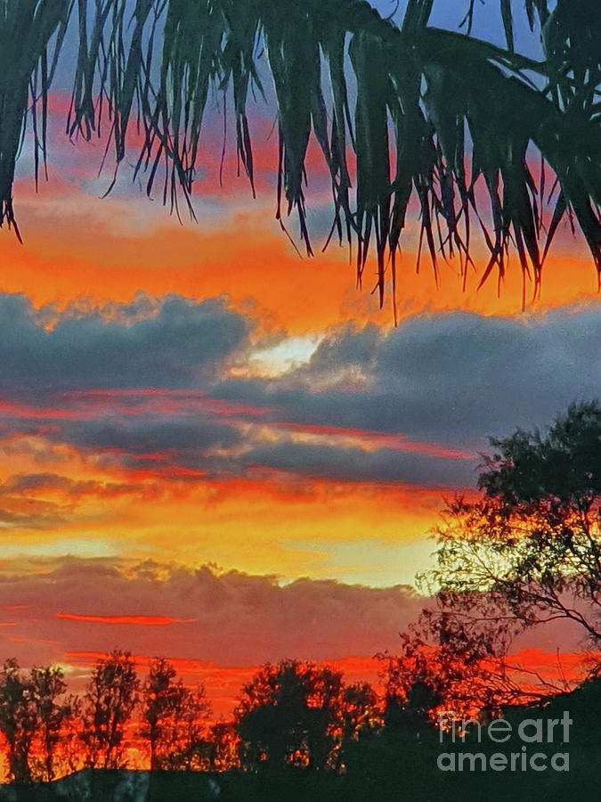 Tropical Sunset Digital Art by Tracey Lee Cassin