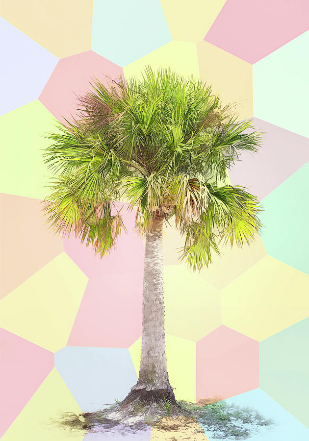 Tropical Themed Palm Tree Minimalism Mixed Media by Dan Sproul