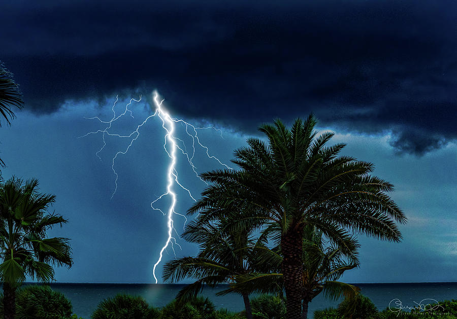 Tropical Thunderstorm Photograph by Susan Molnar