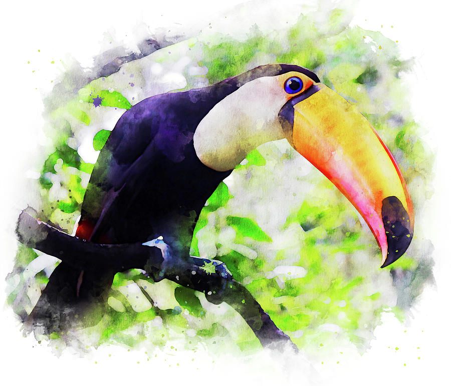 Tropical Toucan Bird - 01 Painting by AM FineArtPrints