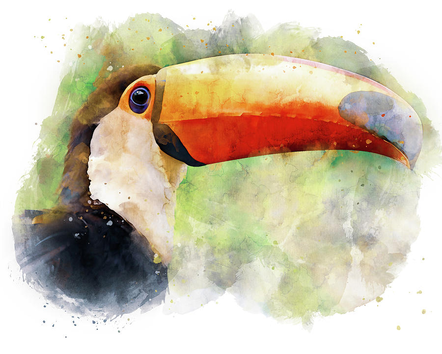 Tropical Toucan Bird - 02 Painting by AM FineArtPrints