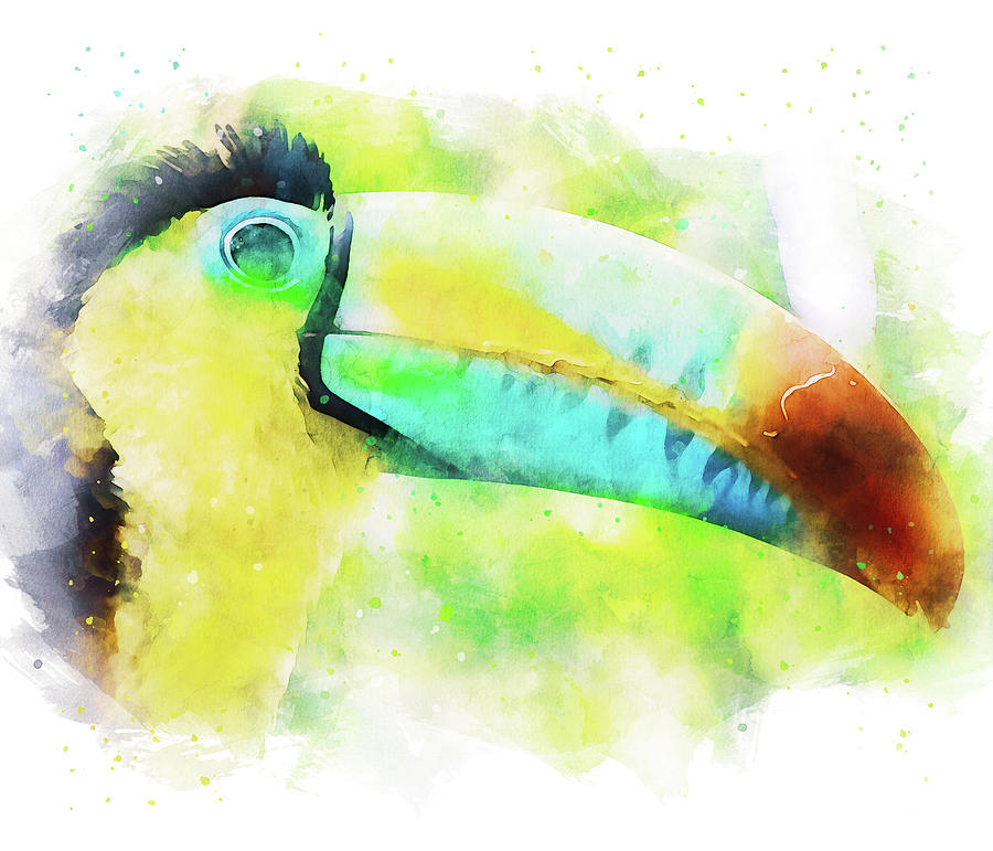 Tropical Toucan Bird - 03 Painting by AM FineArtPrints