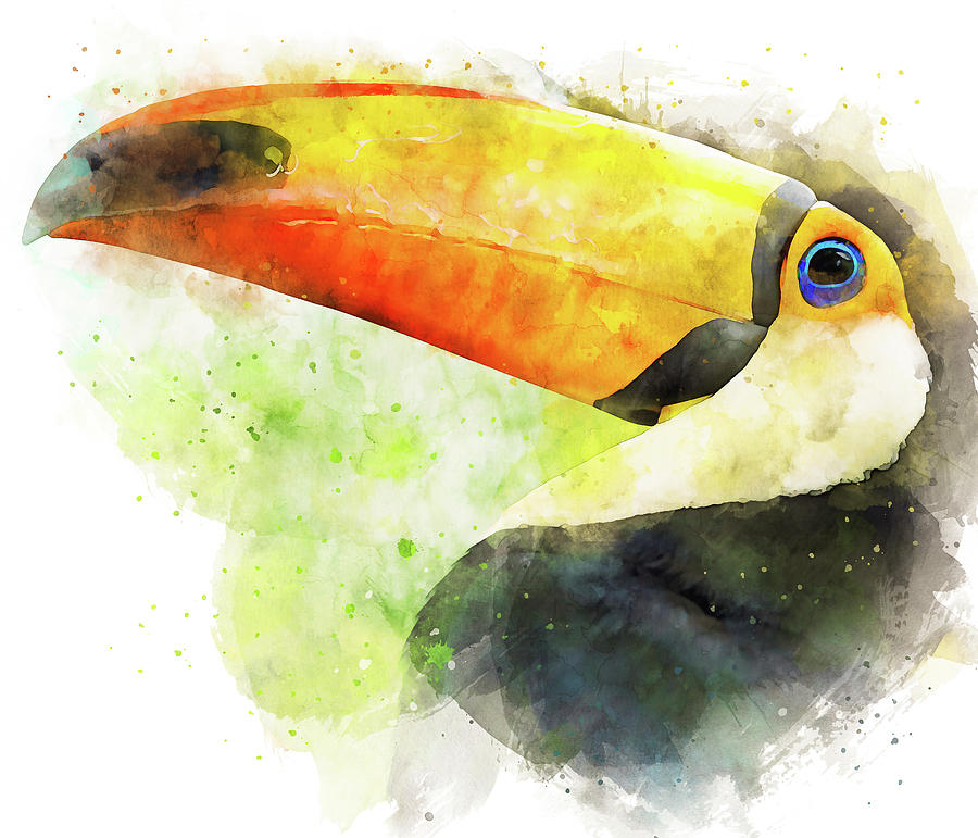 Tropical Toucan Bird - 04 Painting by AM FineArtPrints