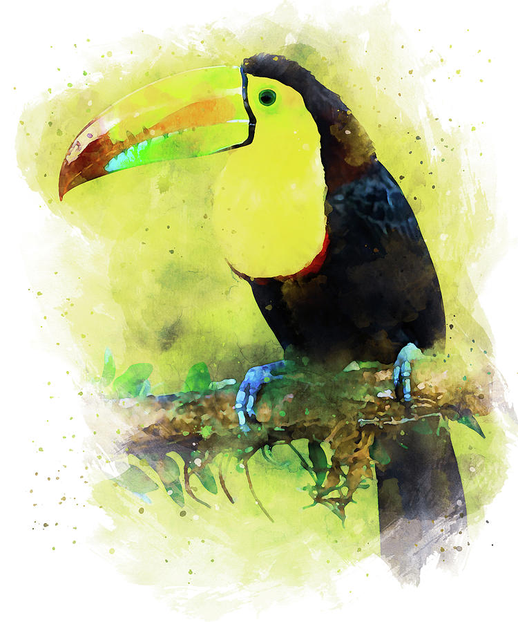 Tropical Toucan Bird - 05 Painting by AM FineArtPrints