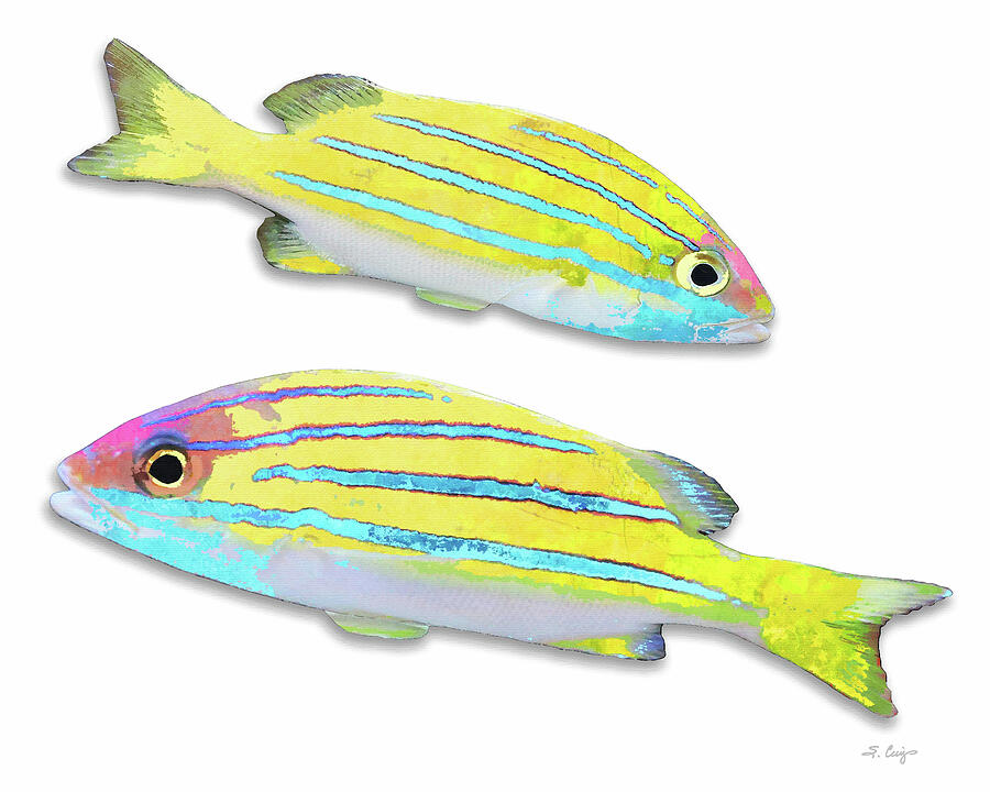Tropical Twins Fish Art Painting by Sharon Cummings Tropical Twins Fish Art Painting by Sharon Cummings