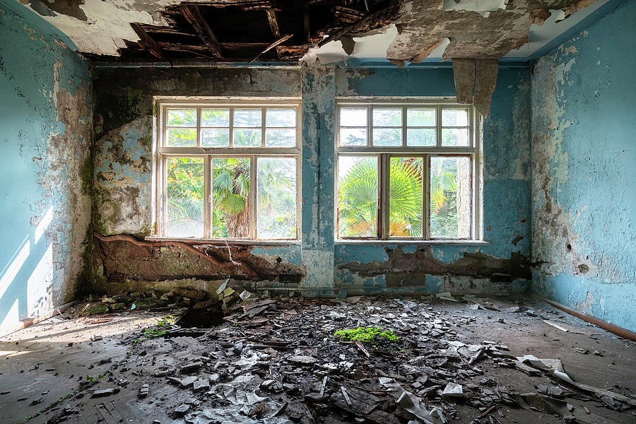 Tropical View in Decay Photograph by Roman Robroek