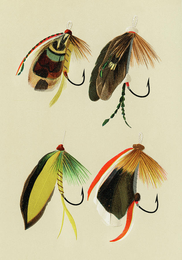 Trout and Bass Flies Favorite Flies and Their Histories Mixed Media by Movie Poster Prints