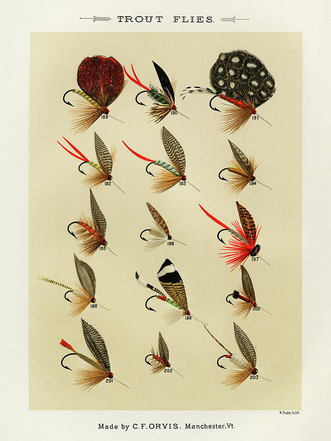 FISHING FLIES III by Mary Orvis Marbury Framed Art - Wall Art