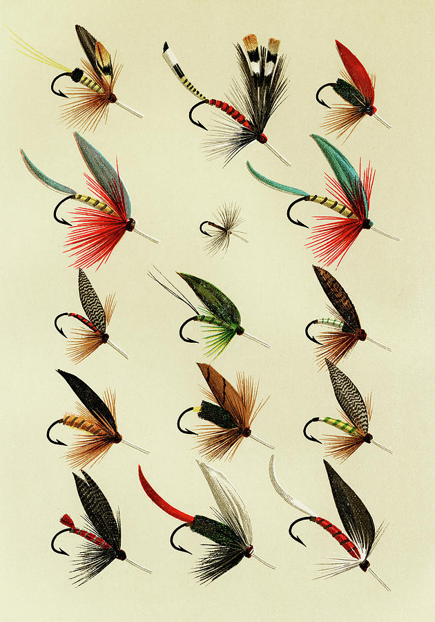 Trout Flies 2 Favorite Flies and Their Histories Mixed Media by Movie Poster Prints