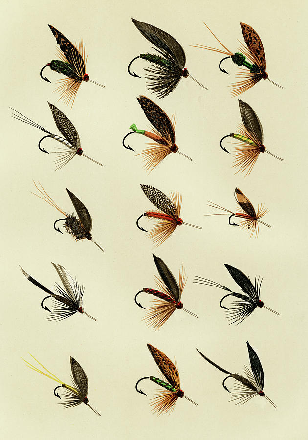 Trout Flies 4 Favorite Flies and Their Histories Mixed Media by Movie Poster Prints