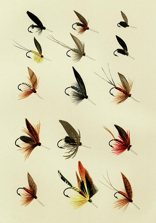 Trout Flies 5 Favorite Flies and Their Histories Mixed Media by Movie Poster Prints
