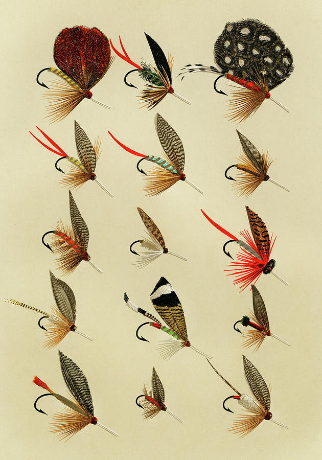 Trout Flies 7 Favorite Flies and Their Histories Mixed Media by Movie Poster Prints