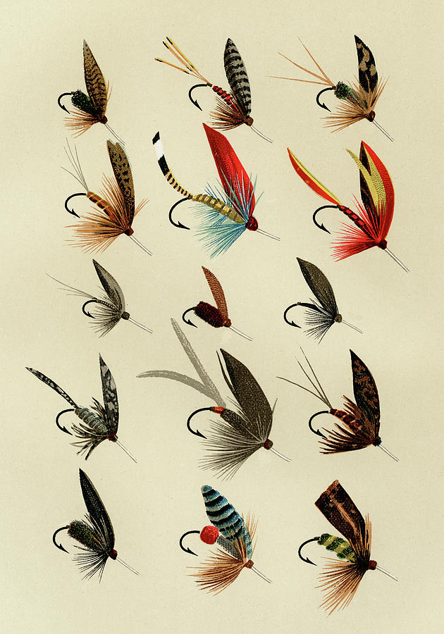 Trout Flies 9 Favorite Flies and Their Histories Mixed Media by Movie Poster Prints