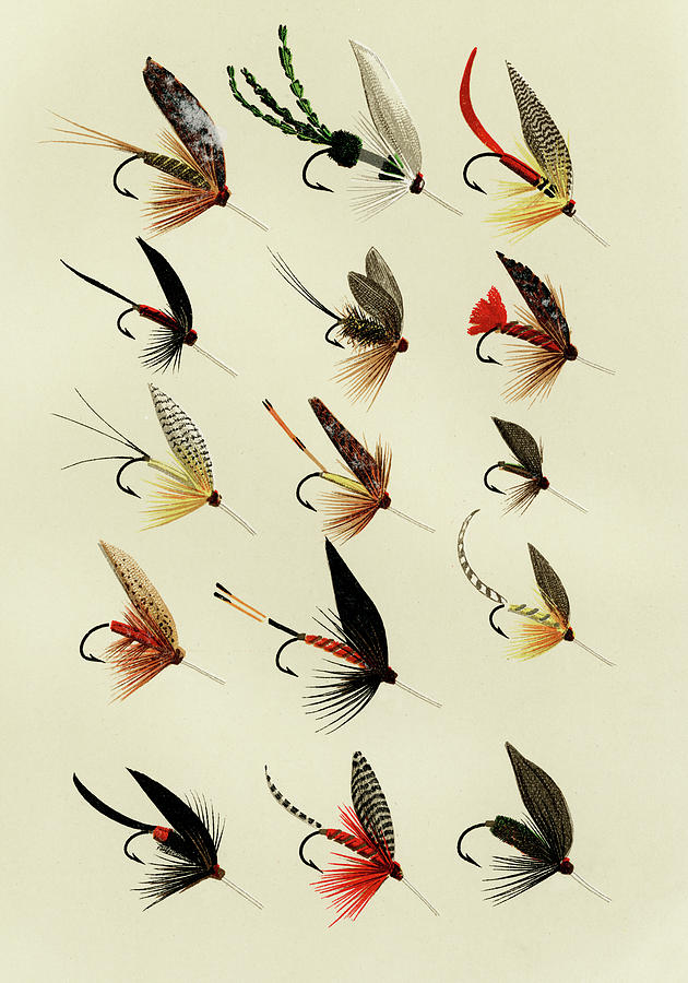 Trout Flies 9.0 Favorite Flies and Their Histories Mixed Media by Movie Poster Prints