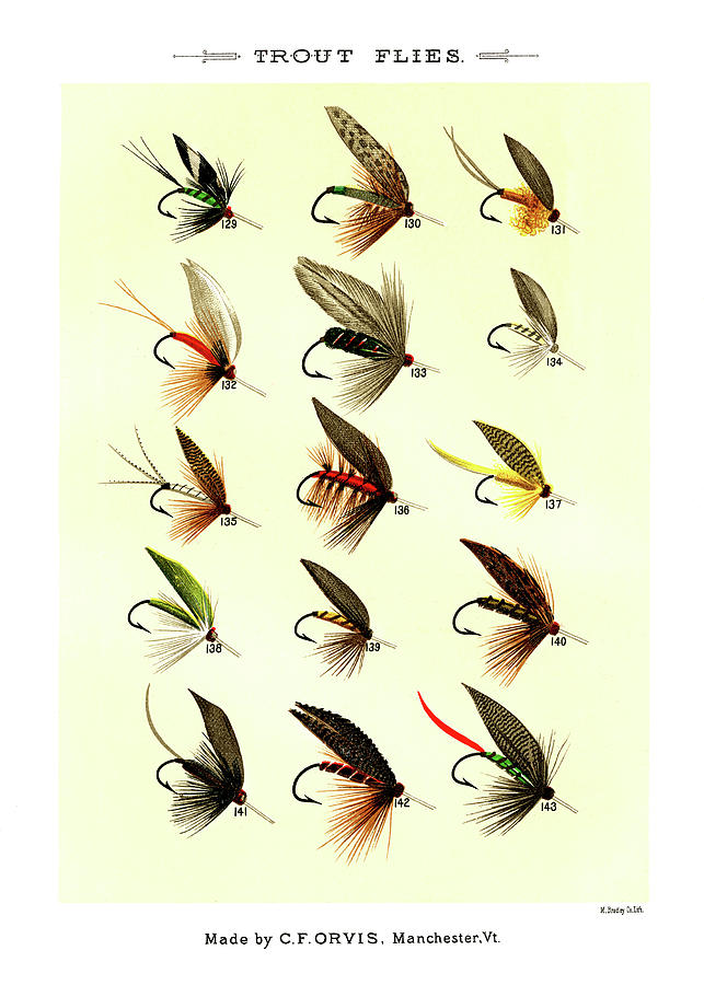 Trout Flies  Digital Art by Gary Grayson