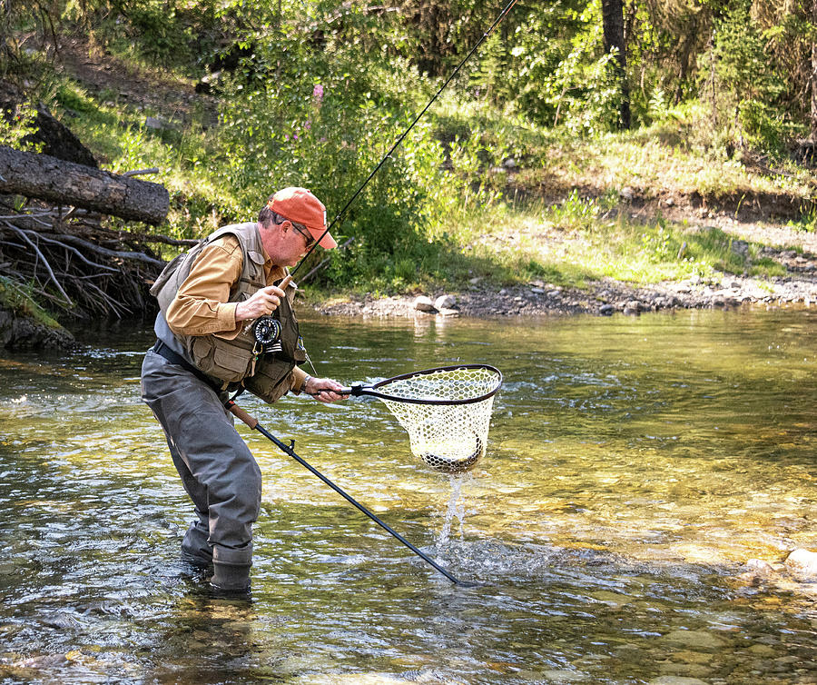 Angler Photograph - Trout in the Net by Phil And Karen Rispin