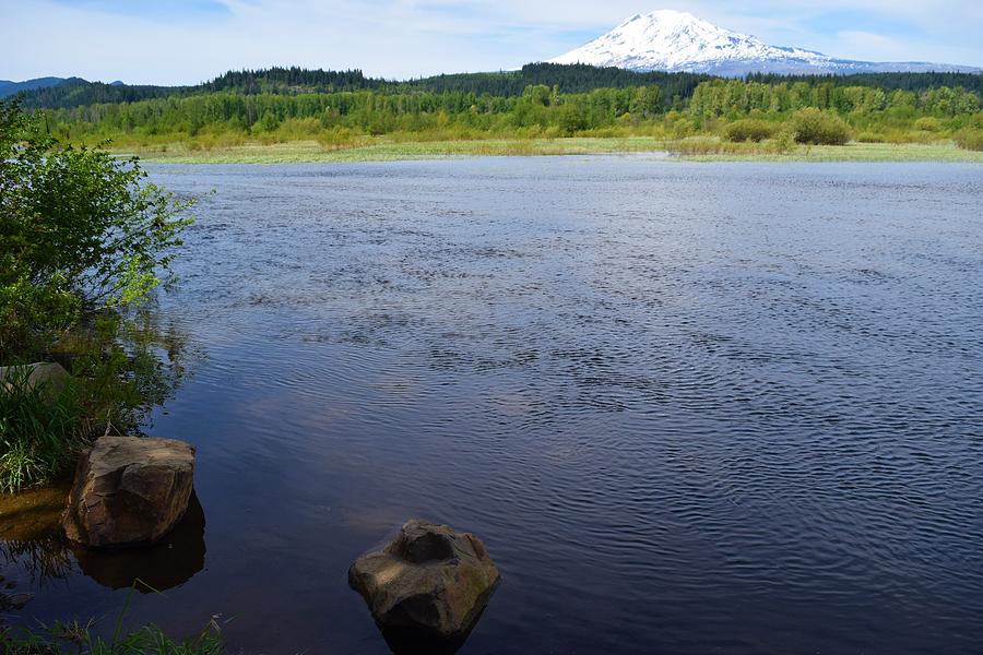 trout lake