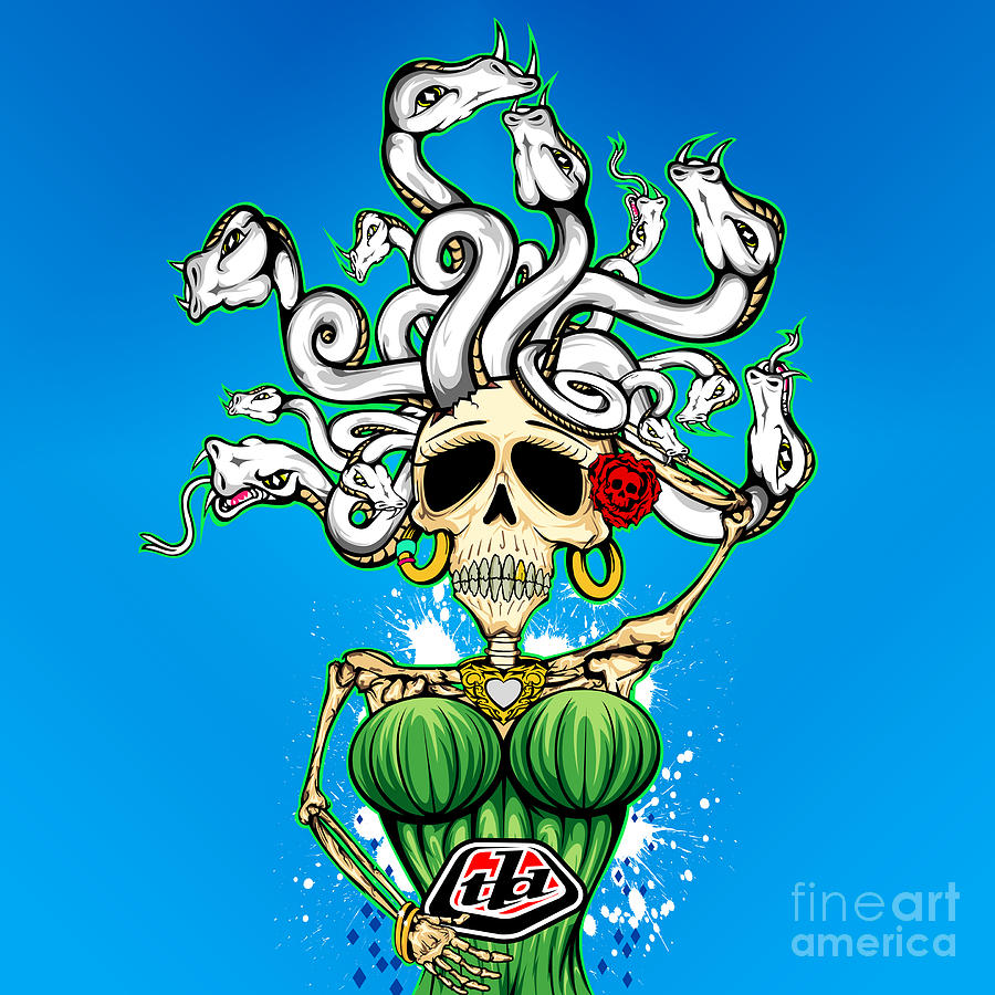 https://images.fineartamerica.com/images/artworkimages/mediumlarge/3/troy-lee-designs-medusa-skull-troy-lee.jpg