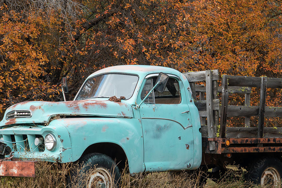 Truck in Fall Photograph by Louise Kornreich