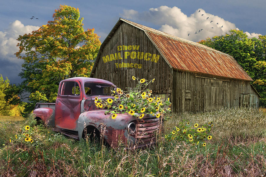 Truck with Blackeyed Susan Flowers and Mail Pouch Barn Photograph by Randall Nyhof