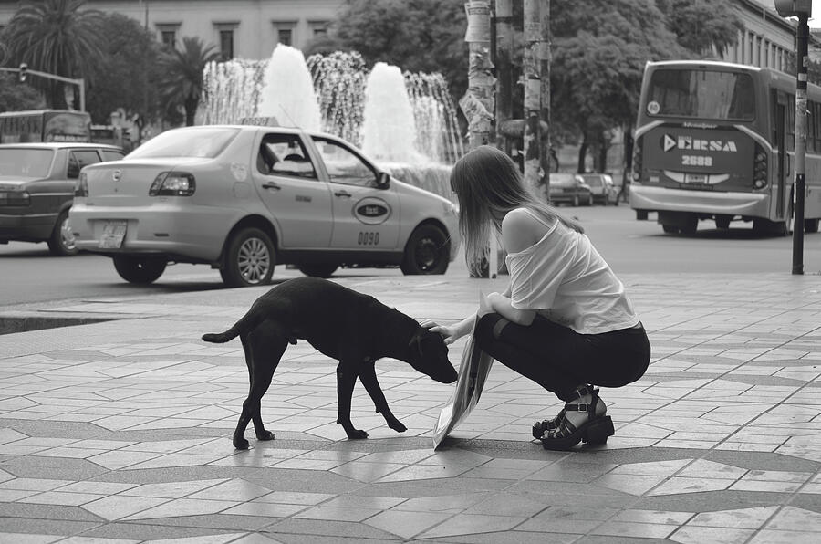 True awaken people, girl caressing a stray dog in the street, black and ...