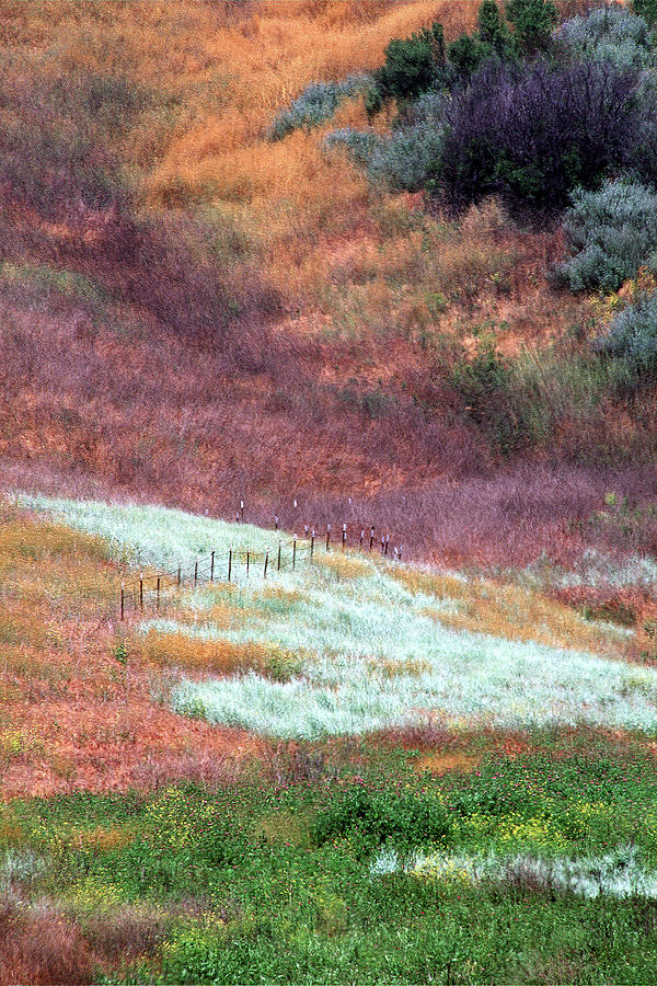 True Colors Photograph by Engle Meredith True Colors Photograph by Engle Meredith