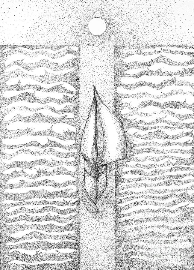 True Sail Drawing by Lisa Senette