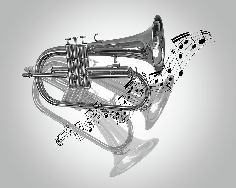 Trumpet Fanfare Black and White Photograph by Gill Billington