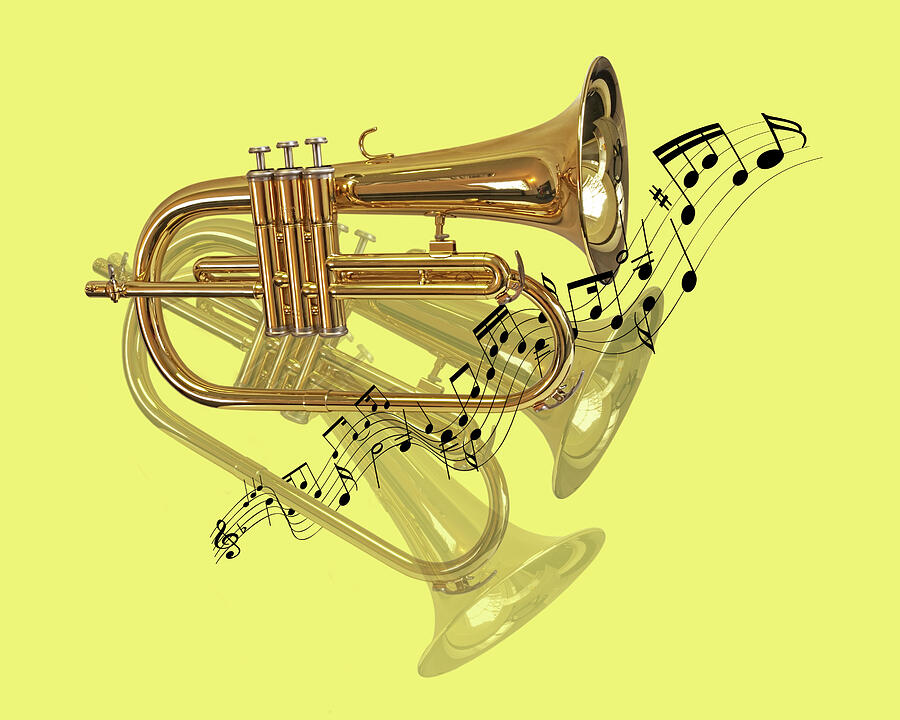 Trumpet Fanfare Photograph by Gill Billington
