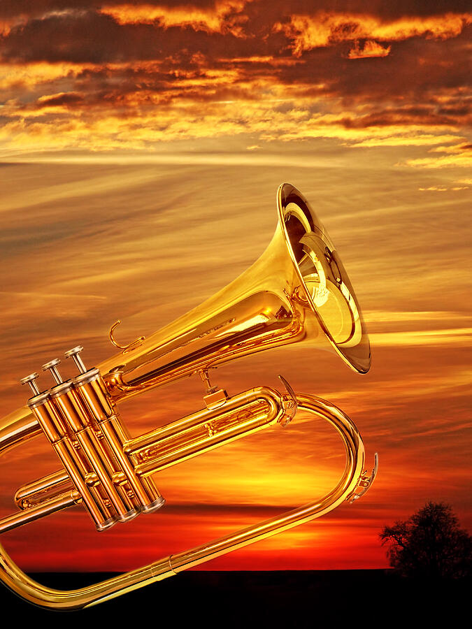 Trumpet Sunset Photograph by Gill Billington