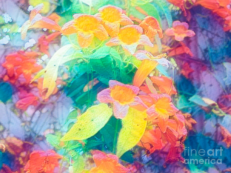 Abstract Photograph - Trumpet Vine Abstract by Gary Richards