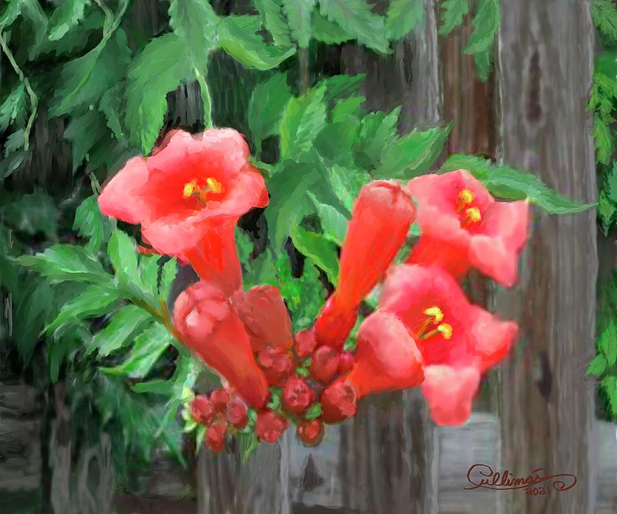 Flower Digital Art - Trumpet Vine Trailing over the Fence by Marilyn Cullingford