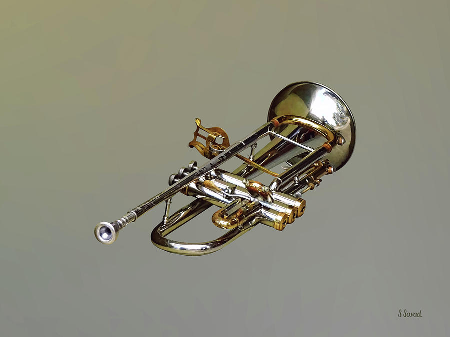 Trumpet With Lyre Photograph by Susan Savad