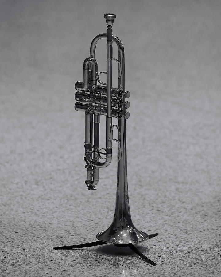 Trumpeter Break Time Photograph by Scott Olsen