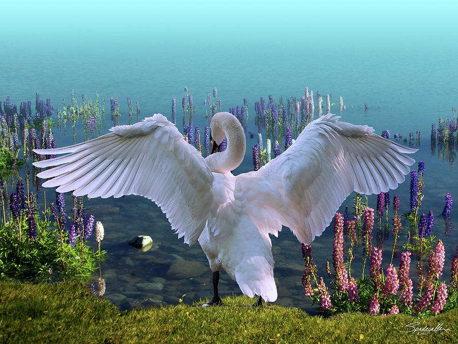 Trumpeter Swan and Lupines Digital Art by M Spadecaller