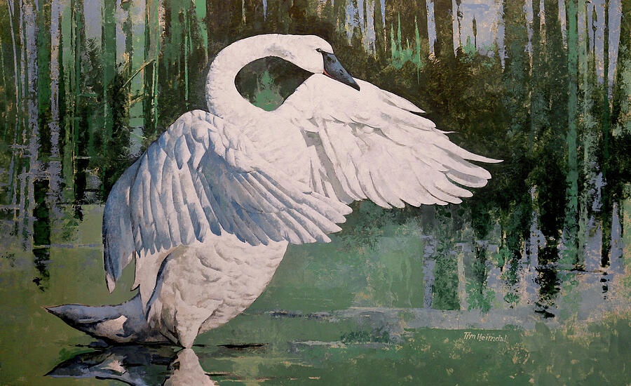 Mural, Trumpeter Swan Painting by Tim Heimdal