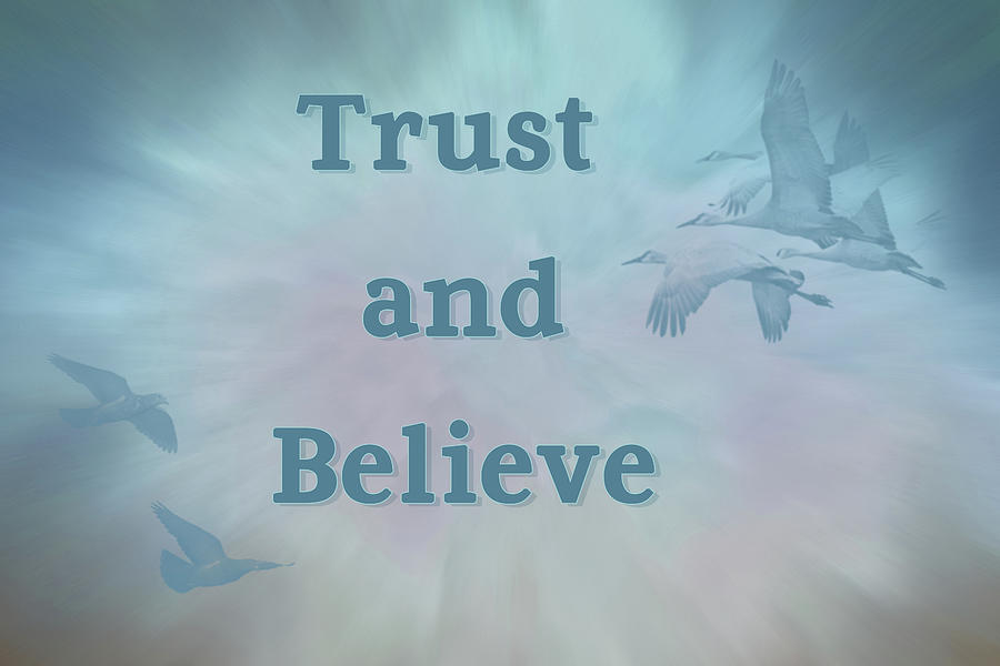 trust-and-believe-photograph-by-eleanor-bortnick-pixels