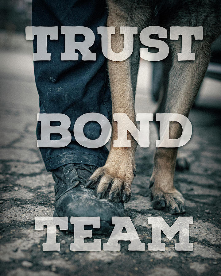 Trust Bond Team Photograph by Lifework Productions