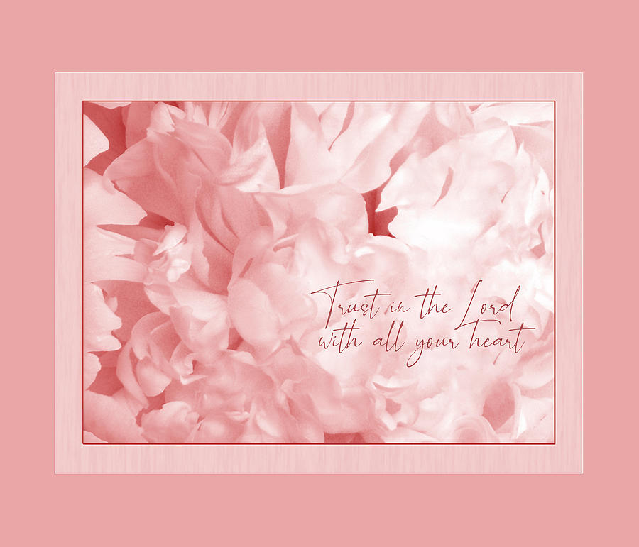 Trust in the Lord Proverbs Pink Peony Photograph by Denise Beverly