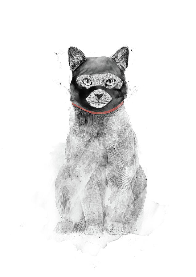 Animal Drawing - Masked cat by Balazs Solti