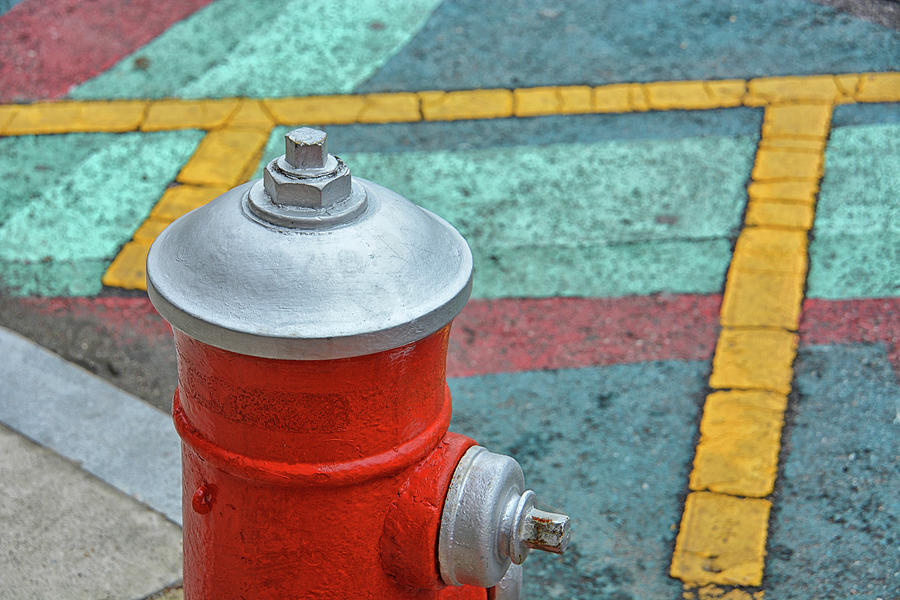 Trusty Fire Hydrant Photograph by Mike Martin