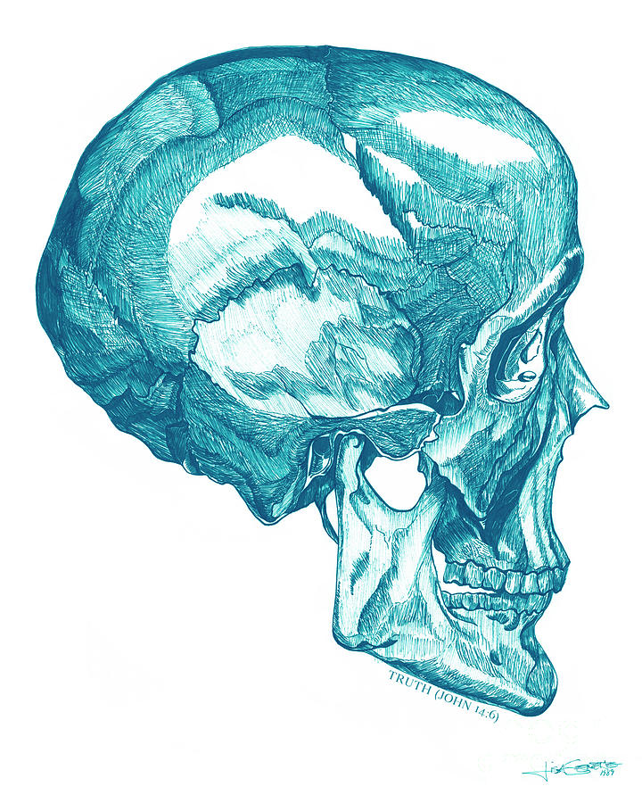 Truth-Aqua Skull Drawing by Lisa Senette